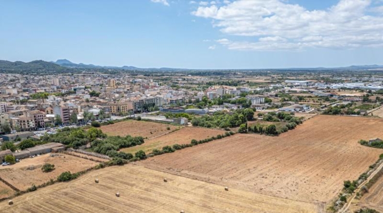 Illes Balears - Palma - 12000m2