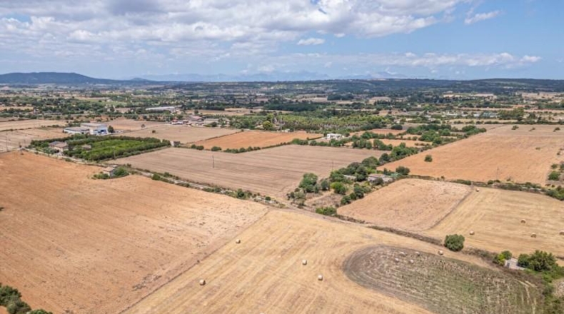 Illes Balears - Palma - 12000m2