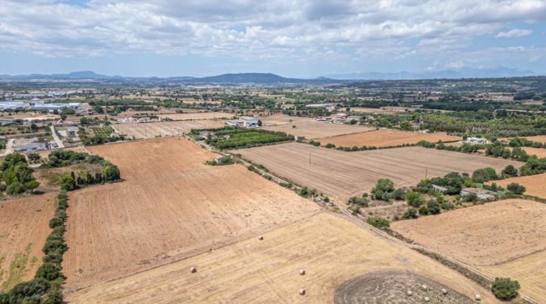 Illes Balears - Palma - 12000m2