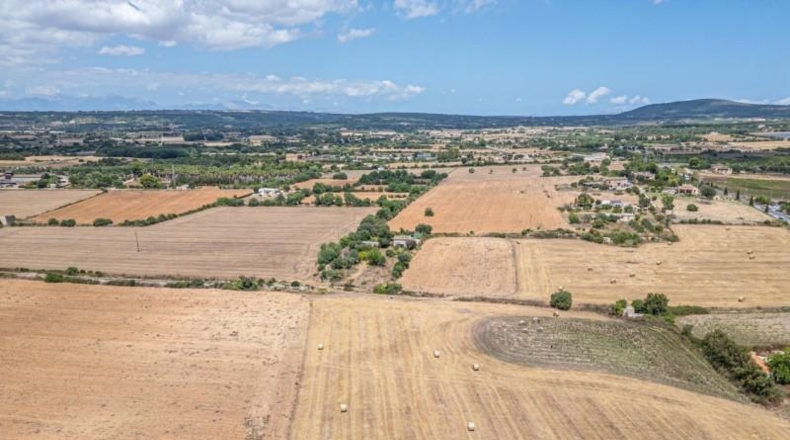 Illes Balears - Palma - 12000m2