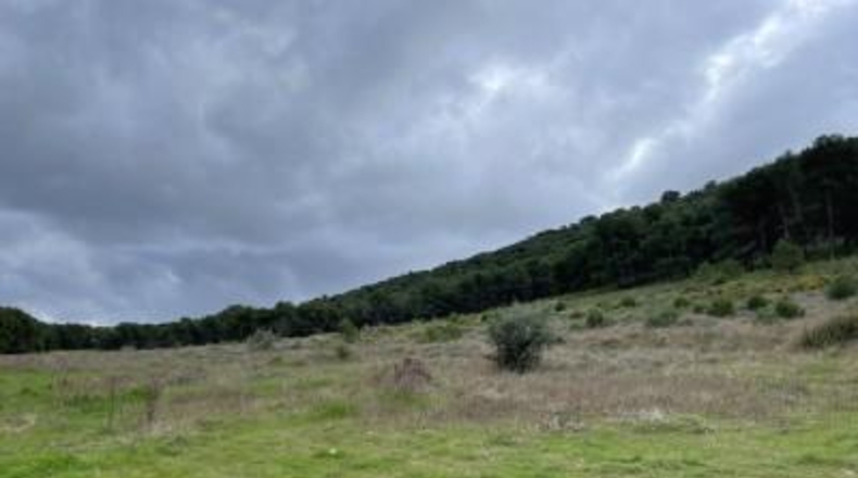 Málaga - Humilladero - 38150m2