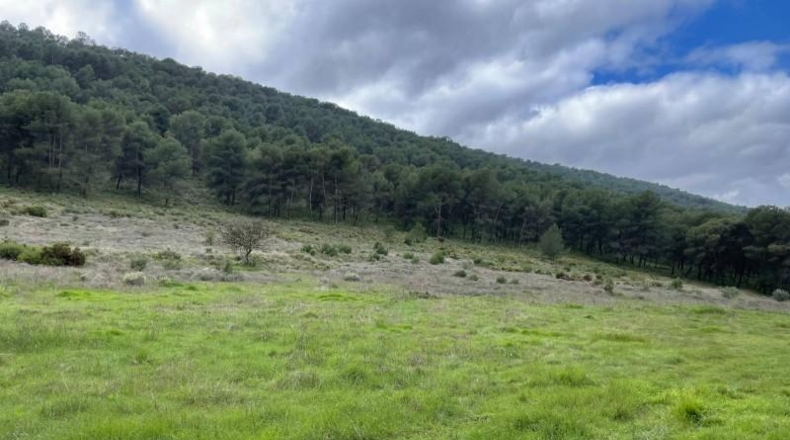 Málaga - Humilladero - 38150m2