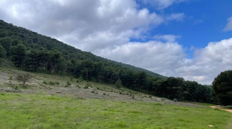 Málaga - Humilladero - 38150m2