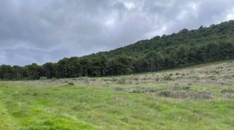Málaga - Humilladero - 38150m2