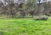 Terreny no urbanitzable en venda a la España, Humilladero, ref.: TR314896 foto
