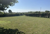Country house with land for sale on España, Tudela, ref: TR169055 photo