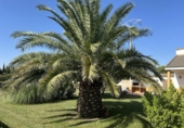 Country house with land for sale on España, Tudela, ref: TR169055 photo