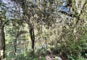 Land suitable for development for sale on España, Albanyà, ref: TR167459 photo