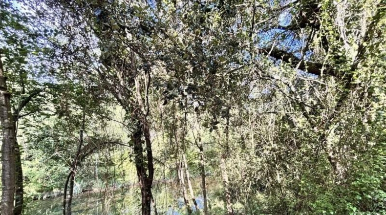 Gerona - Albanyà - 565m2