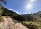 Land suitable for development for sale on España, Albanyà, ref: TR167459 photo