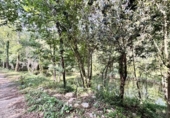 Land suitable for development for sale on España, Albanyà, ref: TR167459 photo