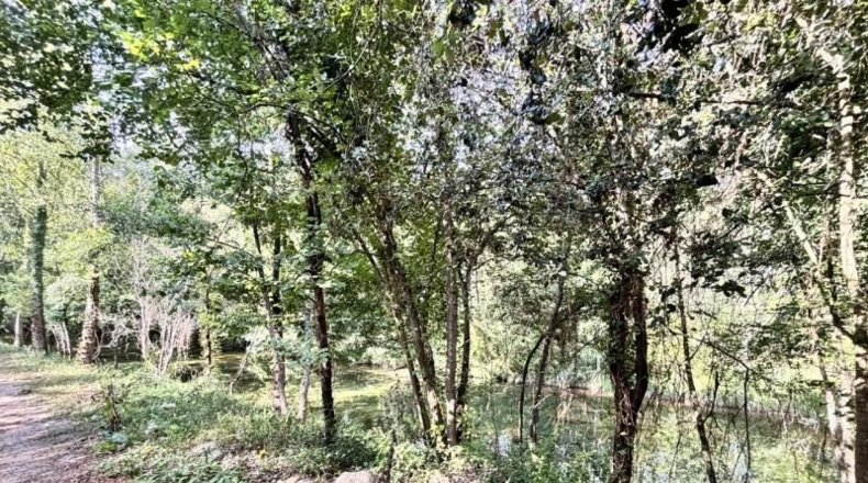 Gerona - Albanyà - 565m2