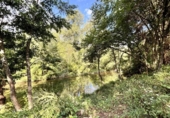 Land suitable for development for sale on España, Albanyà, ref: TR167459 photo