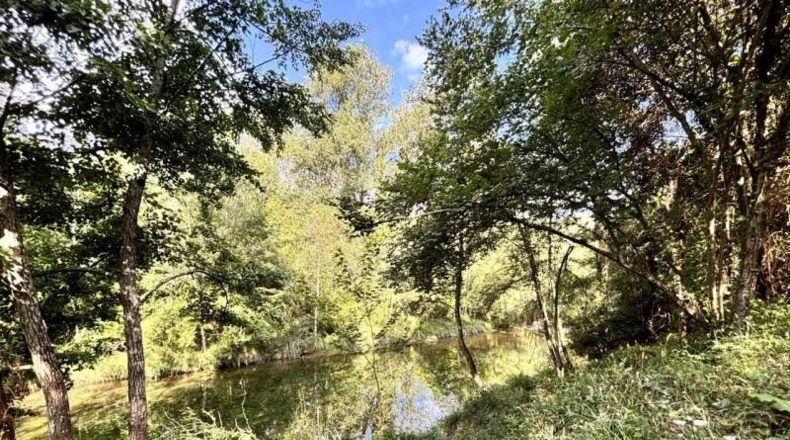 Gerona - Albanyà - 565m2