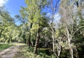 Land suitable for development for sale on España, Albanyà, ref: TR167459 photo
