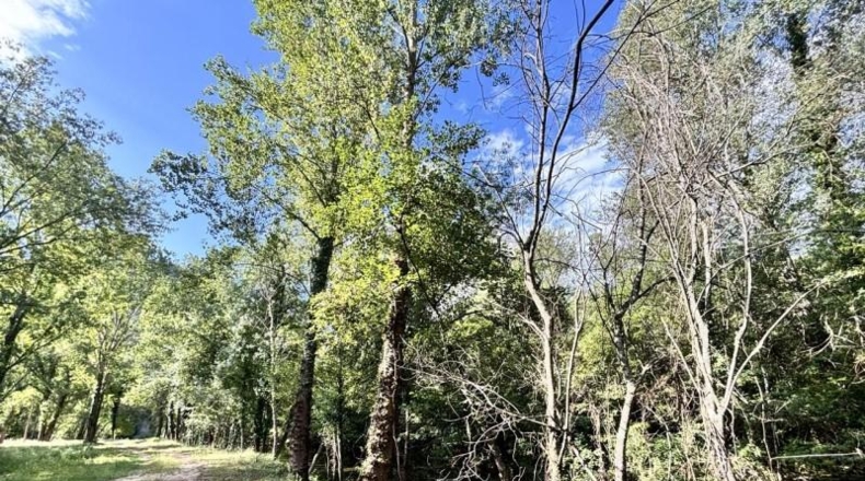 Gerona - Albanyà - 565m2