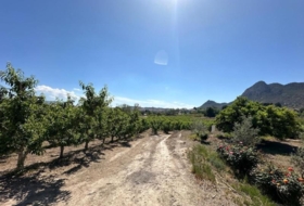Cieza 10935&nbsp;m²