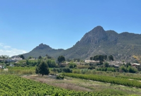 Cieza 10935&nbsp;m²