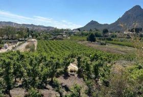 Cieza 10935&nbsp;m²