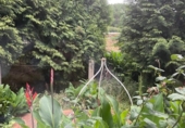Casa con terreno en venta en la España, Cambre, ref: TR291147 foto