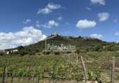 Terreno no urbanizable en venta en la España, Son Servera, ref: TR121875 foto