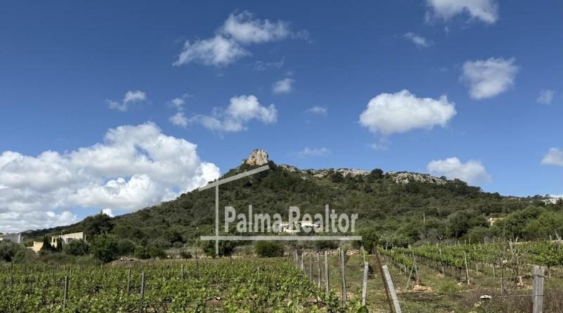 Balearic Islands - Son Servera - 6451m2