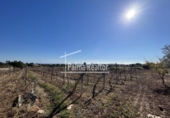 Terreno no urbanizable en venta en la España, Son Servera, ref: TR121875 foto