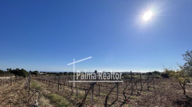 Balearic Islands - Son Servera - 6451m2