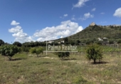 Terreno no urbanizable en venta en la España, Son Servera, ref: TR121875 foto