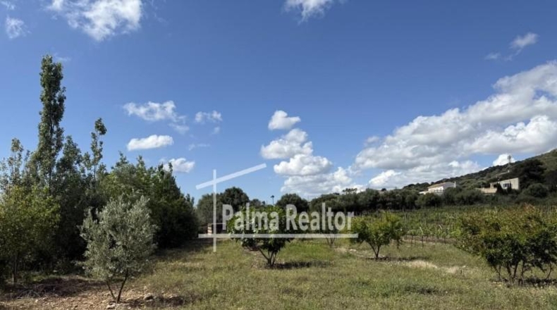 Balearic Islands - Son Servera - 6451m2