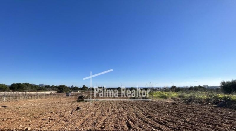 Balearic Islands - Son Servera - 6451m2
