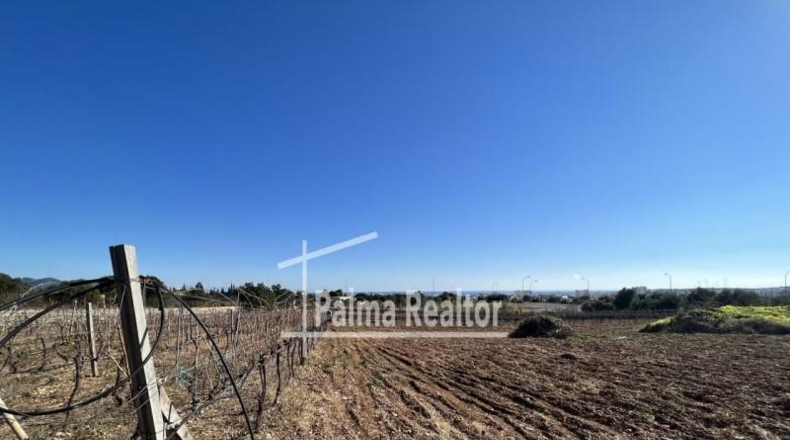 Balearic Islands - Son Servera - 6451m2