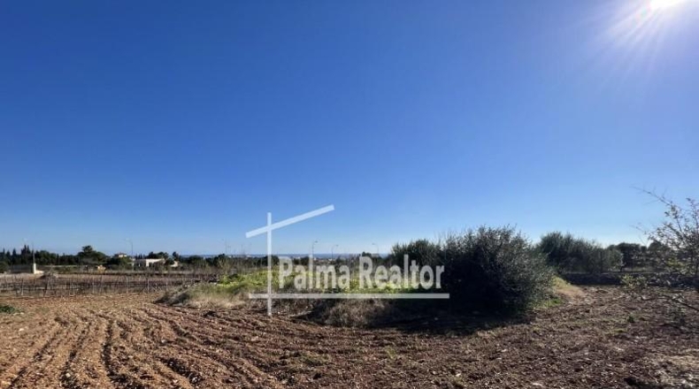 Balearic Islands - Son Servera - 6451m2