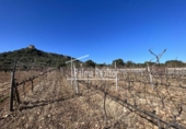 Terreno no urbanizable en venta en la España, Son Servera, ref: TR121875 foto
