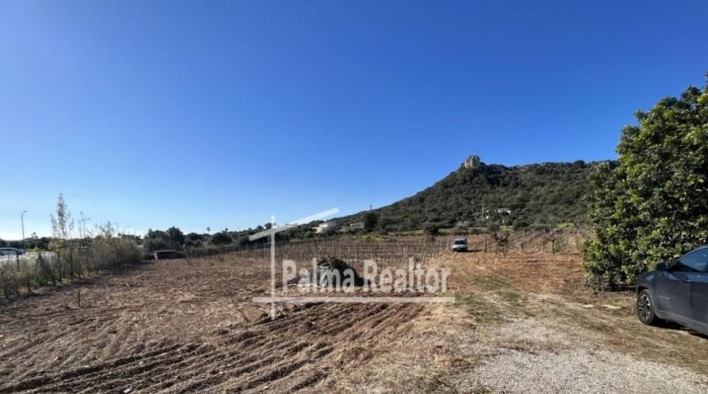 Balearic Islands - Son Servera - 6451m2