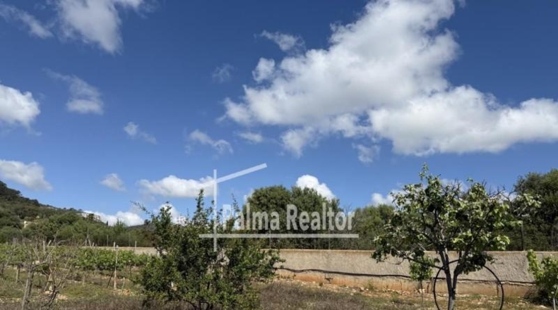 Balearic Islands - Son Servera - 6451m2