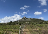 Terreno no urbanizable en venta en la España, Son Servera, ref: TR121875 foto