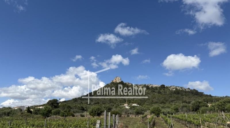 Balearic Islands - Son Servera - 6451m2
