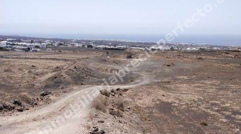Las Palmas - Tías - 10050m2