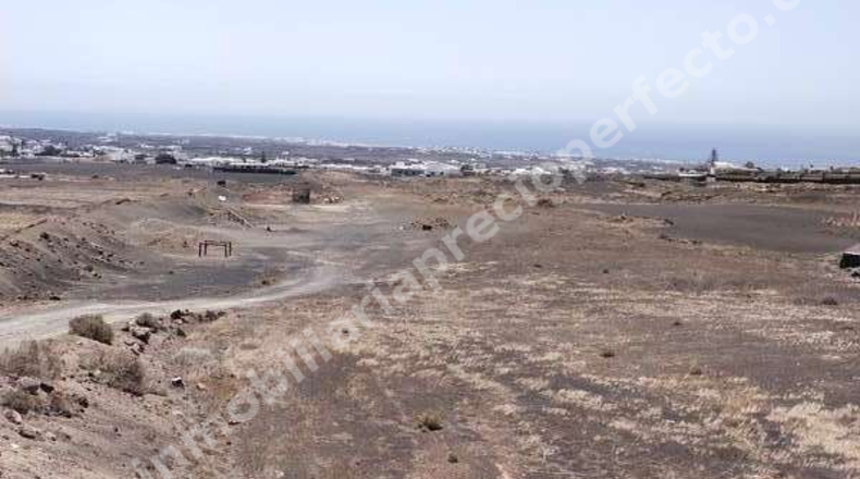 Las Palmas - Tías - 10050m2