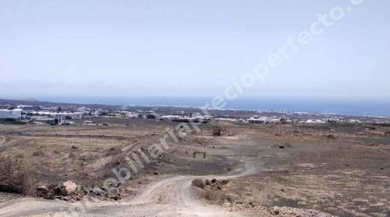 Las Palmas - Tías - 10050m2