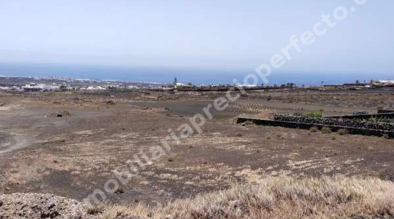 Las Palmas - Tías - 10050m2