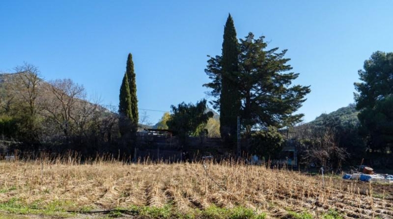 Jaén - Alcaudete - 3273m2