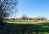 Detached villa with land for sale on España, Alcaudete, ref: TR302424 photo