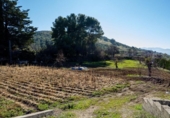 Detached villa with land for sale on España, Alcaudete, ref: TR302424 photo