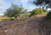 Terreno no urbanizable en venta en la España, el Perelló, ref: TR407115 foto