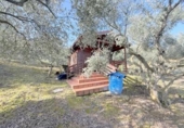 Casa con terreno en venta en la España, Cirauqui, ref: TR406415 foto