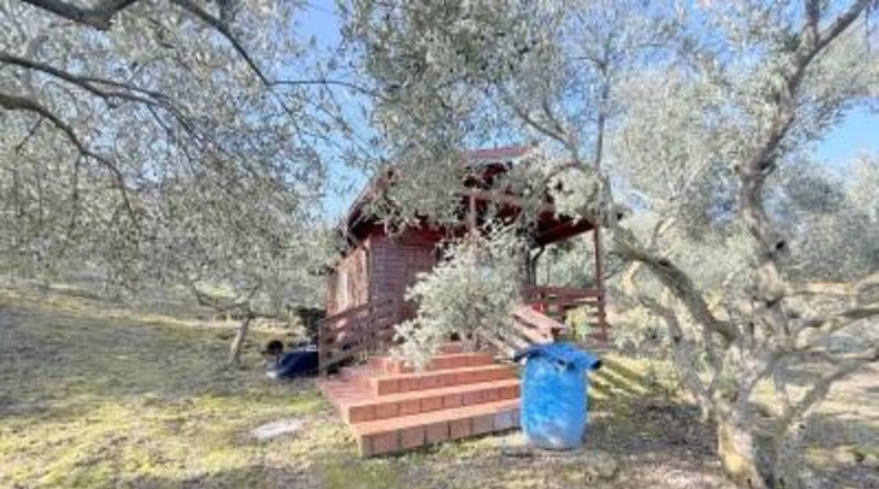 Navarre - Cirauqui - 14000m2