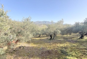 Cirauqui 14000&nbsp;m²