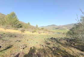 Cirauqui 14000&nbsp;m²